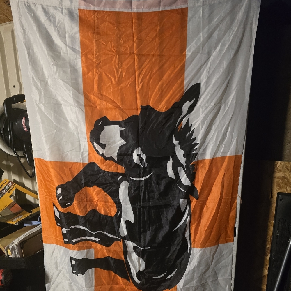 I Think Its A Donkey Reacue In Oregon!